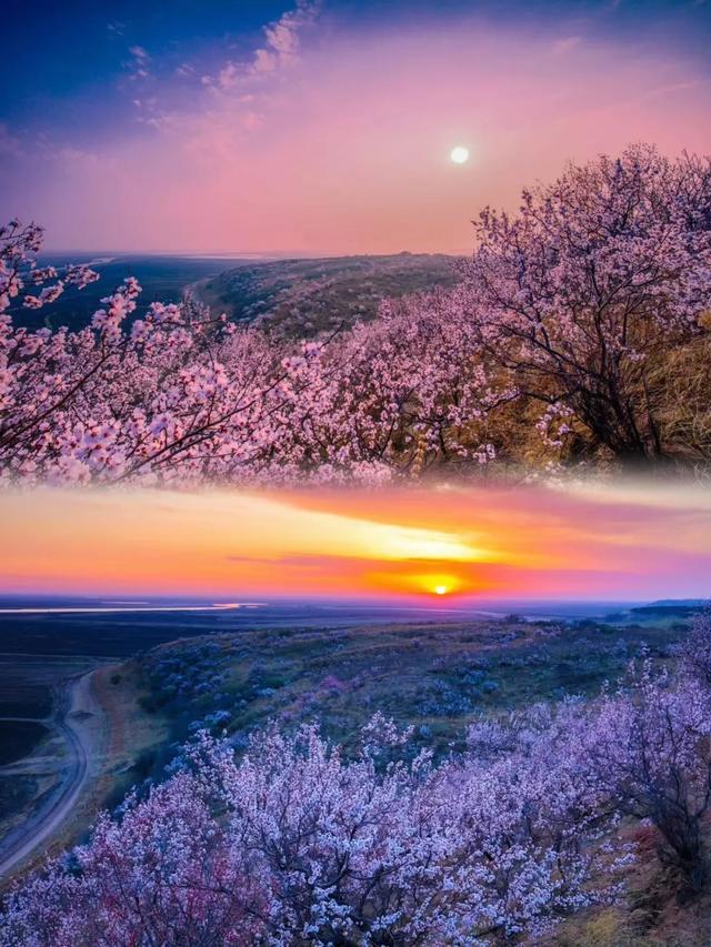 【支援合作 共谋发展】4条春季旅游线路出炉,带你玩转扎赉特旗→