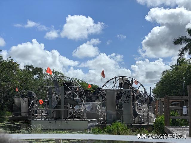 大沼泽地美国国家公园（迈阿密游记三）