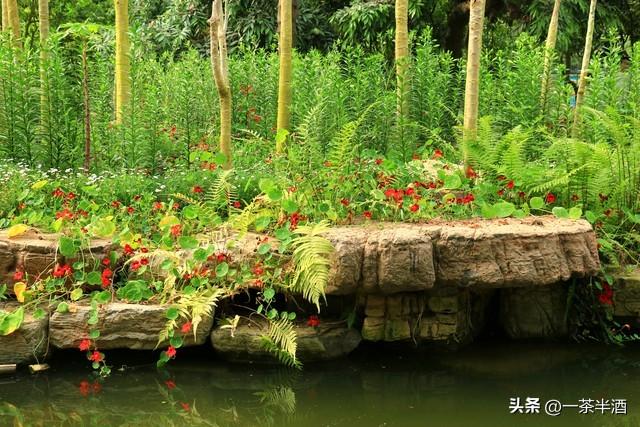 自驾线路：江苏南通6天5晚保姆级自驾游攻略，景点美食免费营地