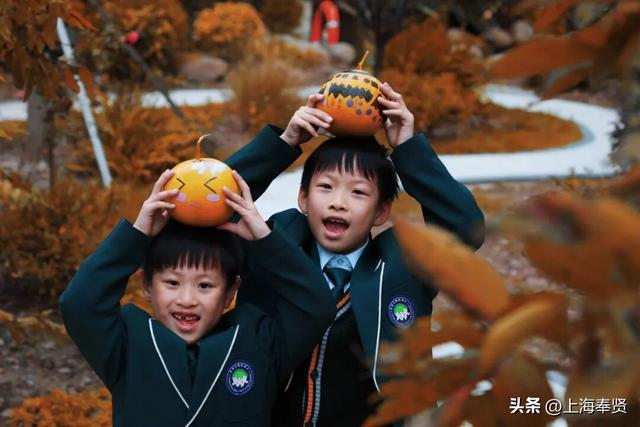 奉浦校园初冬美景大赏，你家娃的学校藏着这样的冬日浪漫