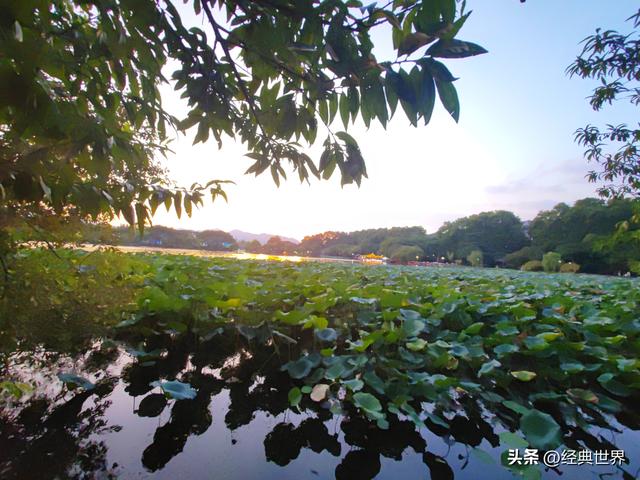 杭州那些古街巷里的故事——石塔儿巷（一）