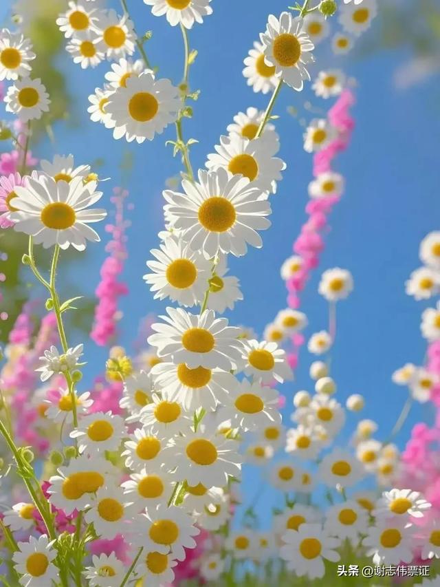 十一月第五期（四天）点评