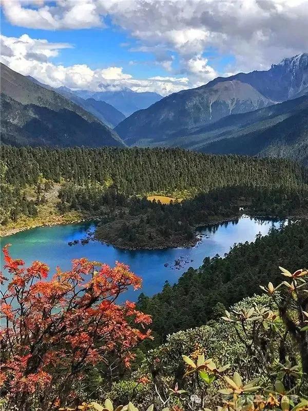 波密冰川,景色迷人非常壮观