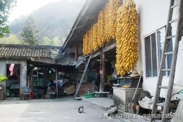 初冬游汉中岳坝,在自然里疗愈身心!