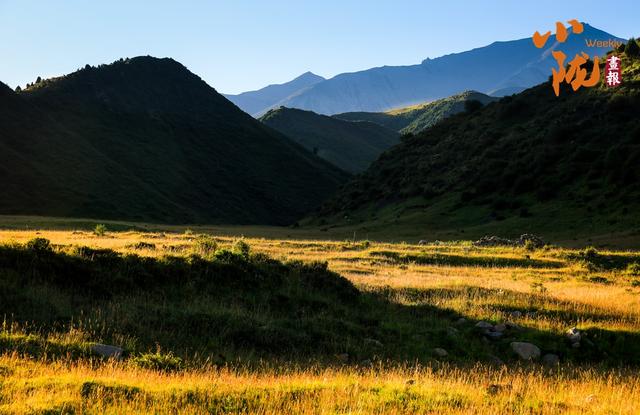 【小陇画报·433期】天祝哈溪：白雪绿林同框 冬日浪漫如画境