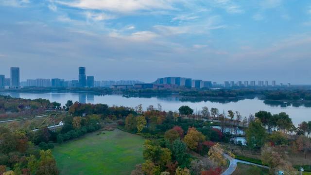 谁说初冬只有萧瑟？来太白湖新区解锁绚烂生机打卡地