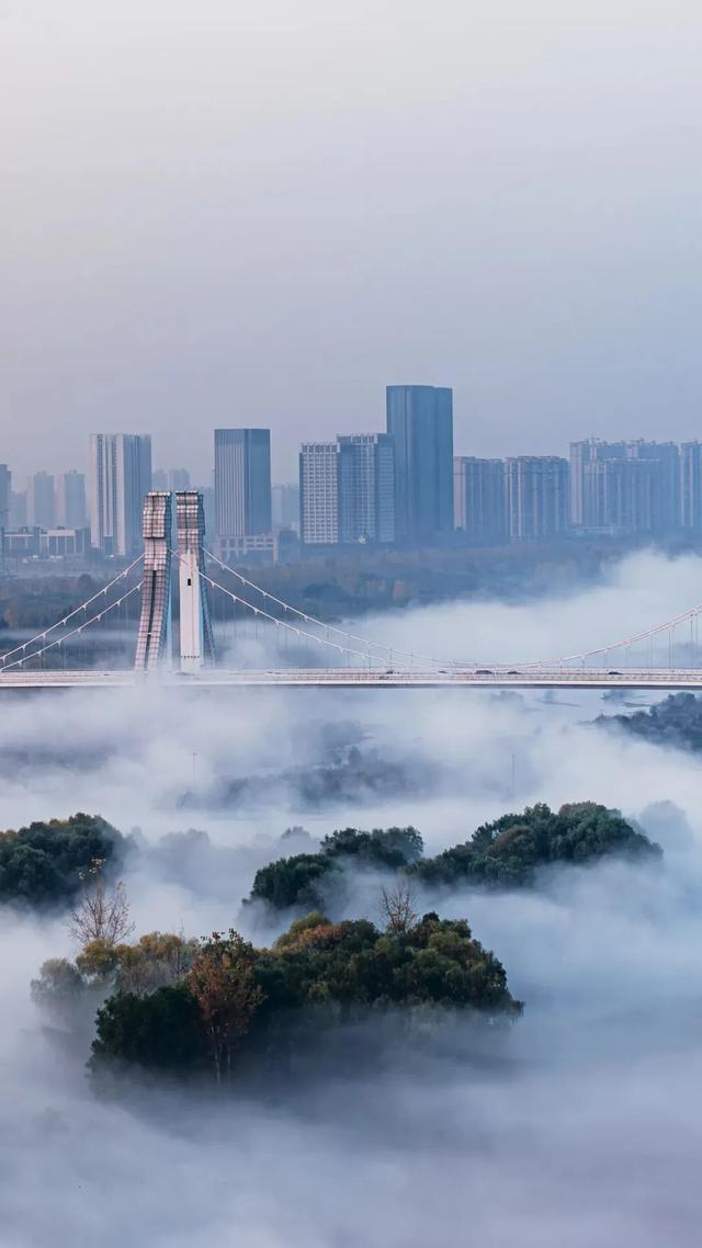 太期待了！接下来的洛阳，是这样的...