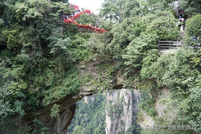 袁家界：地球的‘盗梦空间’！与2亿年的石英砂岩对视，这悬浮山