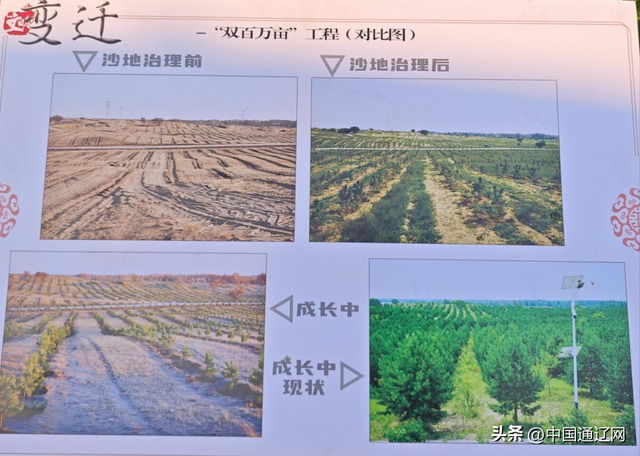 活力中国调研行 | 镜头见证→200万亩沙地绿浪奔涌，美景如画！