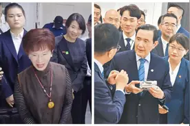 马英九洪秀柱青睐的深圳，为何说与“反独促融”关系密切？图片