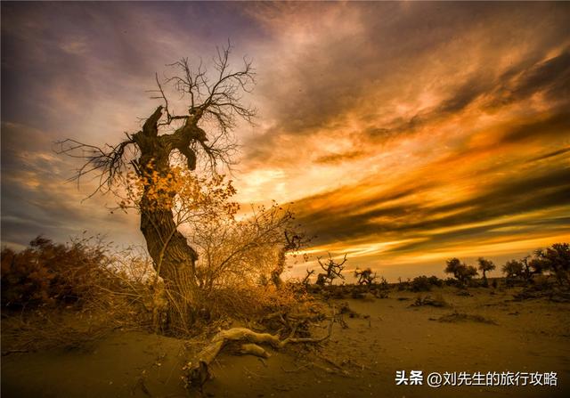 把秋天装进相册！这8个神仙目的地，让你拍出封神大片！