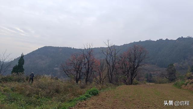 临潼区山村一游