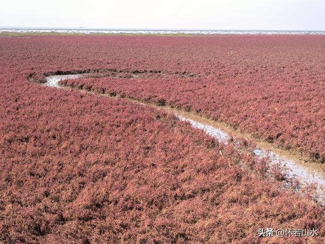 2025辽宁赏秋之旅日记(5)——从本溪前往盘锦 游览红海滩景观