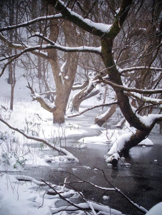 又来？这样的随州，你见没见过？