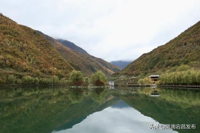 秋辞官鹅：一季斑斓入岁华