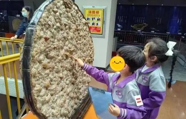 烟台自驾1.5h！就这个冷门小城超好逛→