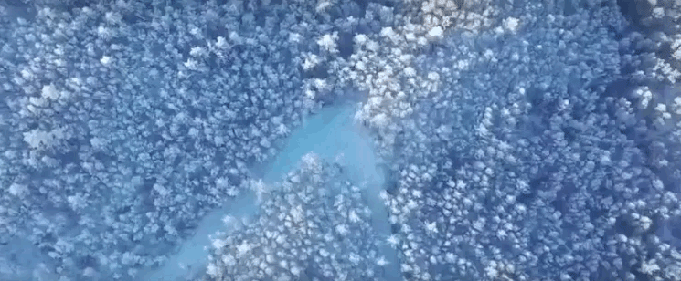 北纬47°的冰雪秘境：阿尔山，冬季人少景美的宝藏旅行地