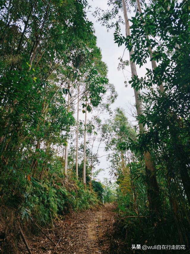 闽侯白沙居然有这么棒的观景台。距离福州1h，周末游玩超推荐。