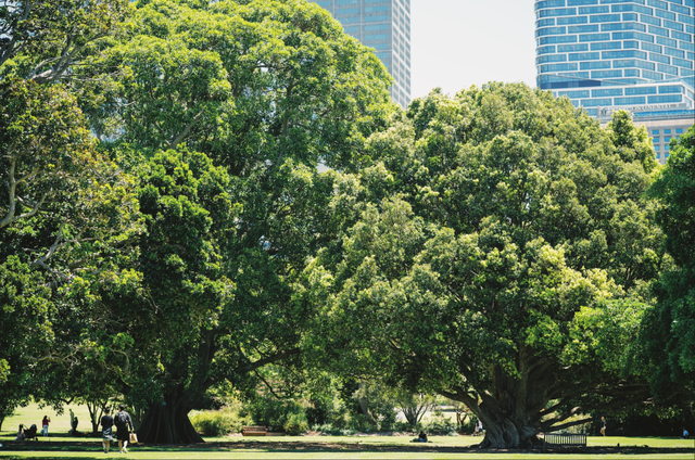 今年冬天，我想去这里过夏天