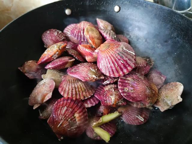 入冬后,扇贝大量上市,为啥便宜不好卖?内行:4个原因,很现实