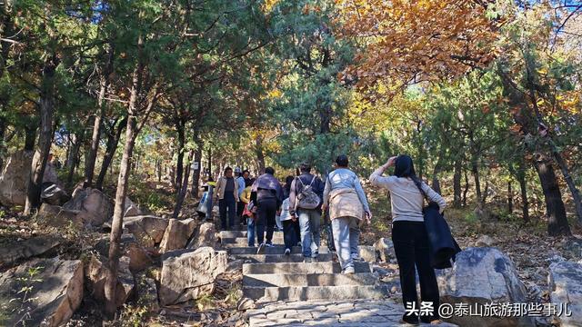 泰安：它是一个藏在泰山群峰间的免费景点，能赏银杏登天梯品清茶