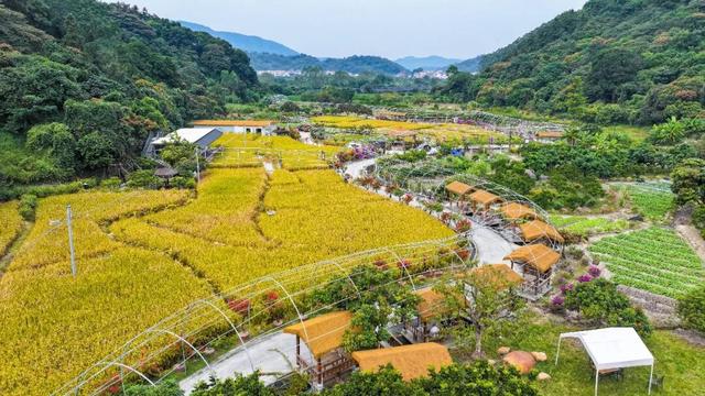 从化区江埔街入选省文旅特色镇入库级名单