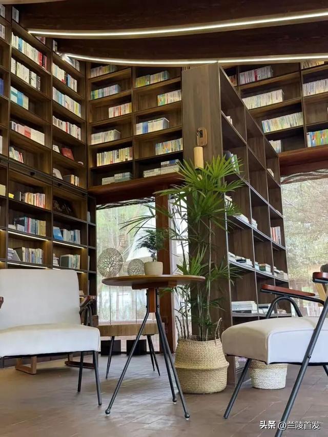 好客山东好品山东｜临沂遛娃去哪儿？初冬攻略收藏就出发～