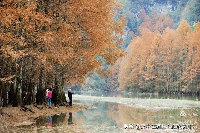 龙池秋色惹人醉