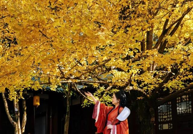 价格“大跳水”！飞飞飞成都体验新！玩！法