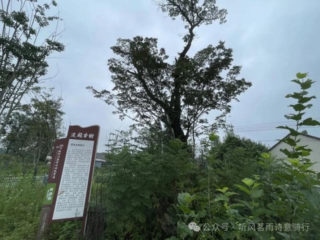 骑游滁州西碧云湖(黄栗树水库)椒岭风景线、井楠村、赤湖铺古桥