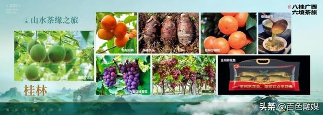 广西茶文旅新线发布！百色/崇左边关觅茶之旅等你赴约~
