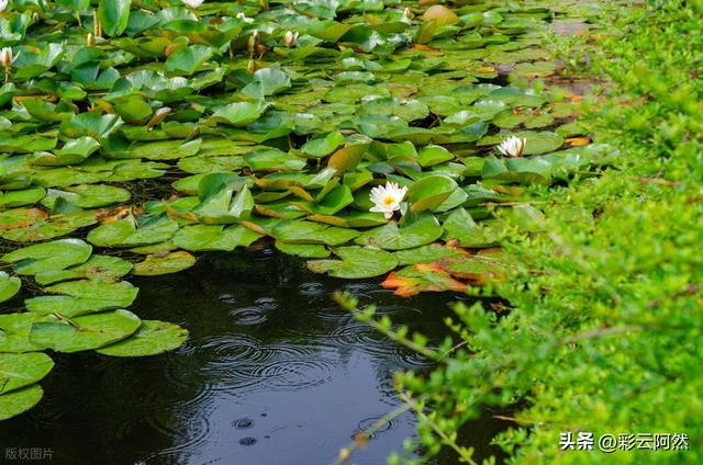 台风来了！本轮降水中心已定，分布以下地区，今日7月18~22号天气