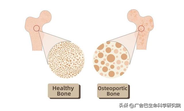 一分钟认识“世界健康节日”