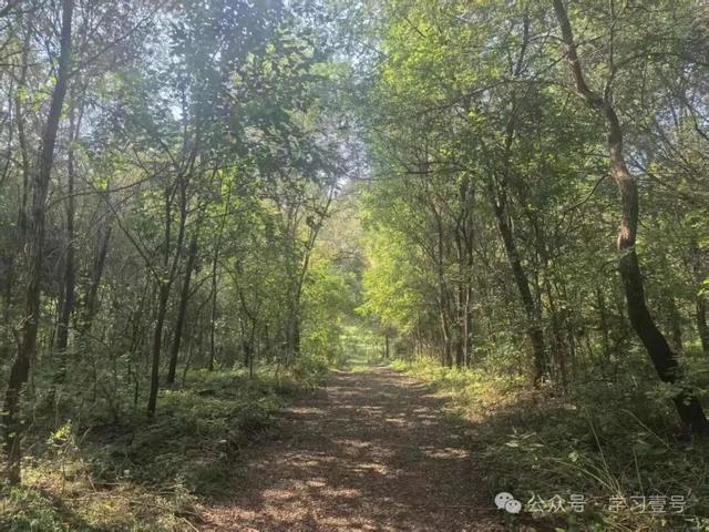 沈阳塔山寻宝记——历史地理视域下