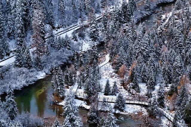 达古冰川 “季节盲盒” | 山顶雪堆成画，山下彩林留余韵