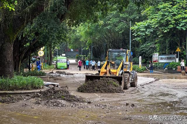 肇庆鼎湖山景区最新情况如何？预计重新开放时间是→