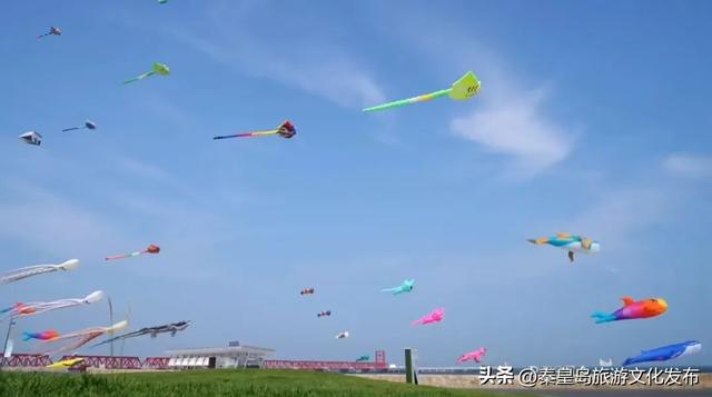月华滨海共潮生｜文艺海岸与康养新城的双节献礼——北戴河新区2025国庆中秋假期旅游市场精彩回顾