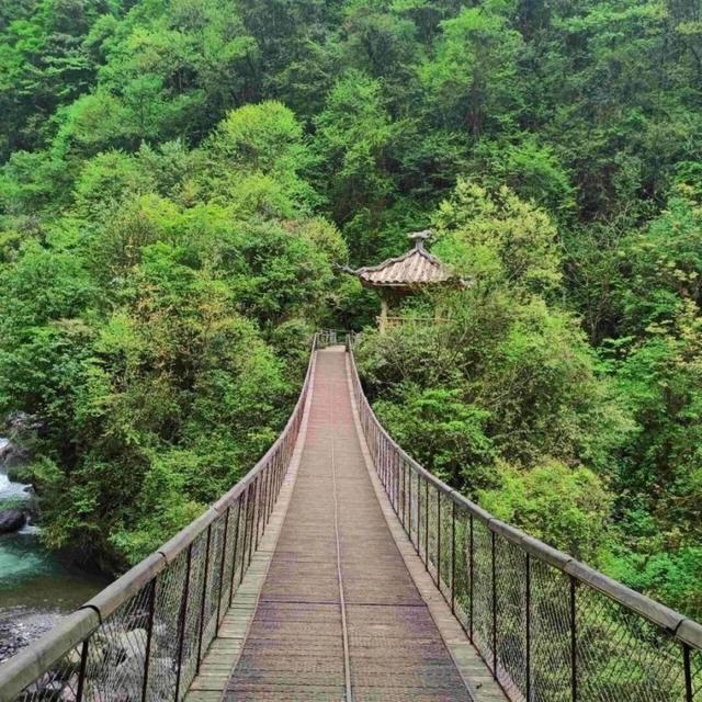 3月7日-3月8日，乐山这个景区免费向女性游客开放！