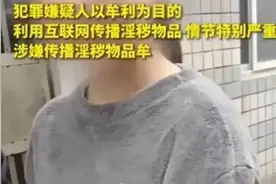 网络主播小美受审：勿沾染不良信息保护自己图片