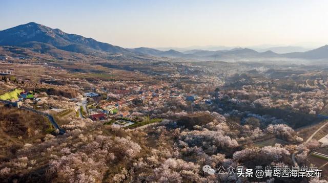 明日免费、半价!最好的风景送给最美的你!