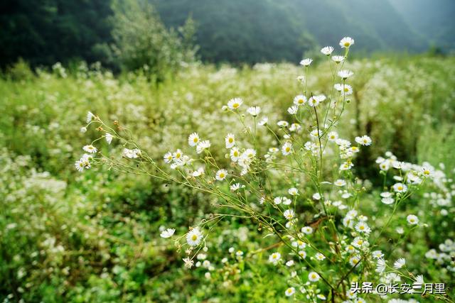 高冠峪，寻访岑参草堂