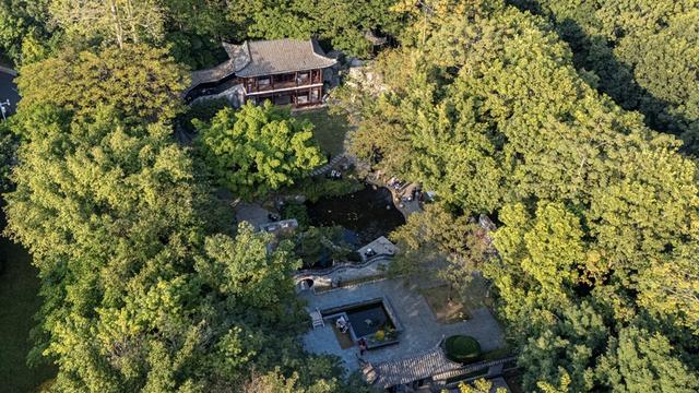 深圳园博园：用公园打开城市新生活方式