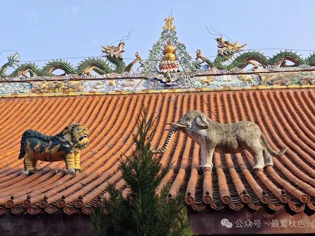 为了一碗羊肉汤，去了简阳