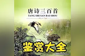 唐诗三百首赏析|《旅夜书怀》图片