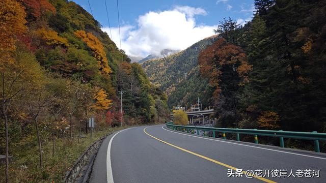 米亚罗彩林季，观赏一日游！