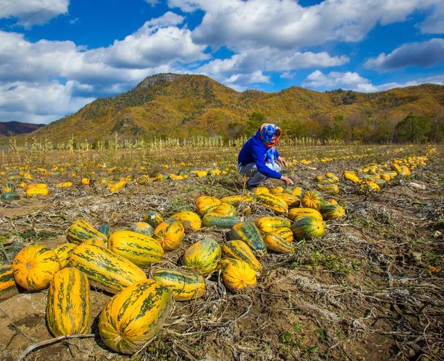从湖南去了一趟伊春，实话实说，回来才发现朋友圈都是骗人的？