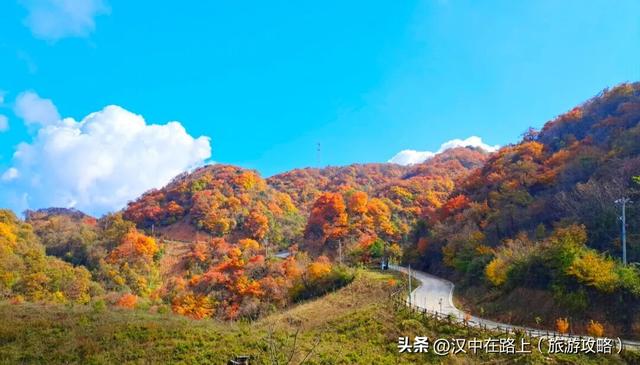 汉中秋景天花板！汉江源的红叶云海，藏不住的惊艳