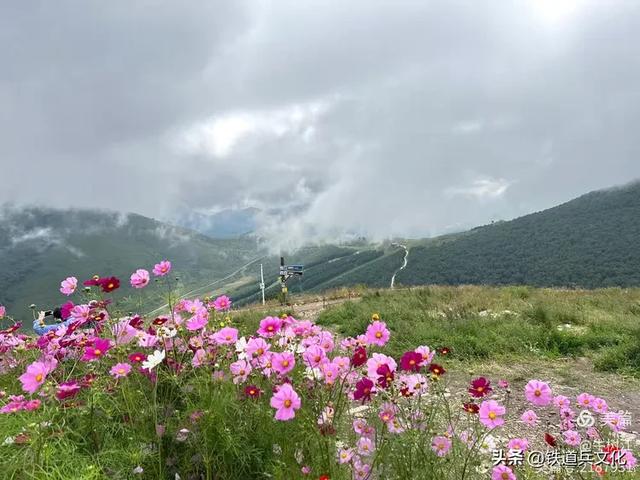 牛树江||云雾山顶的隔空投送