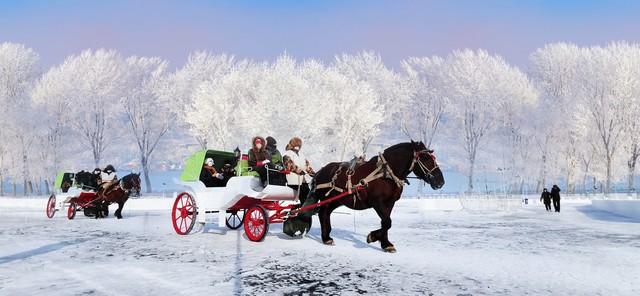 秋色渐退，要玩雪了！长春北湖湿地公园雪后景色如何这样动人心？