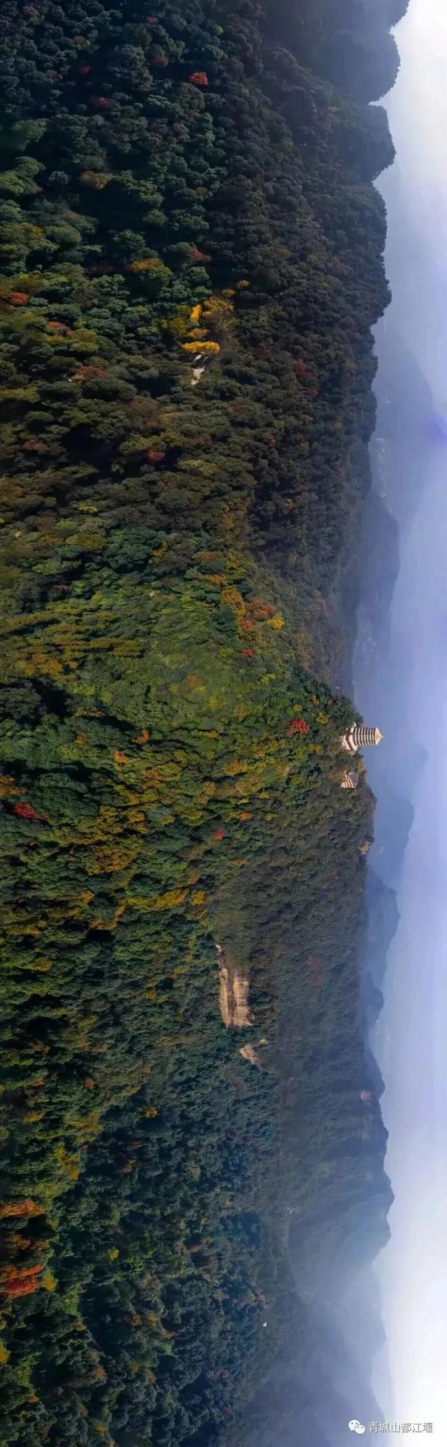 美疯！我就说初冬的都江堰有真东西！